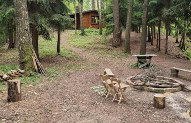 Sosnowy Strumyk - Foto 30