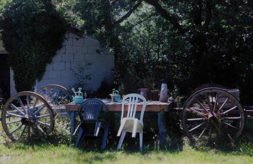 l'heureux bazar - Foto 22