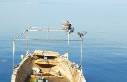 Apartments Adria - Foto 54