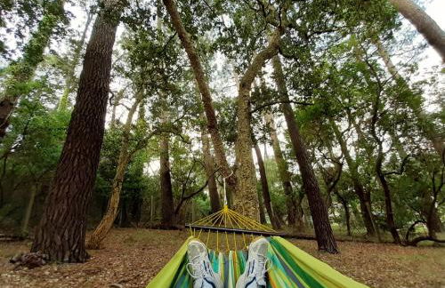 La maison de Maritxu - Entre plage et foret - Landes - Pays Basque - Foto 2