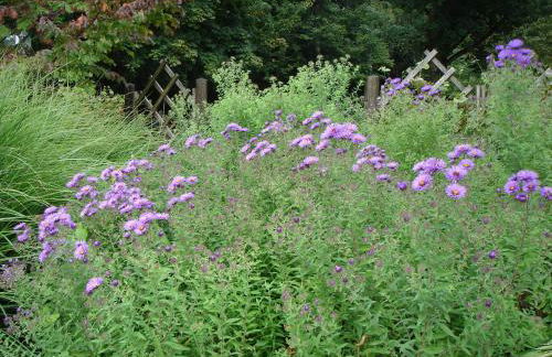 Europa Residenz Premium Suite - Foto 24