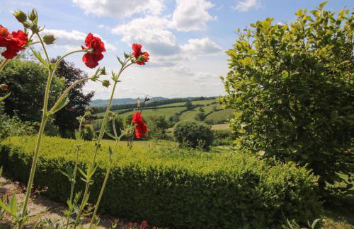 Callow Cottage - Foto 28