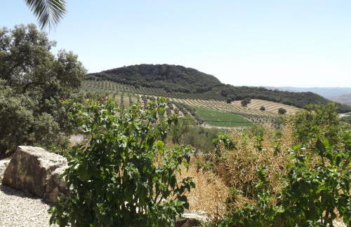 La Casita, Zagra - Foto 29