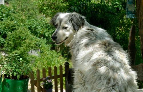 Agriturismo Slowcanda - Foto 9