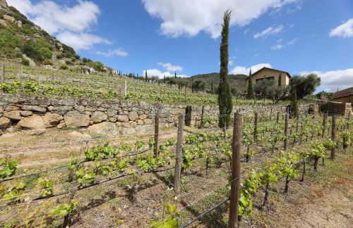 Quinta da Ferradosa Wines - Foto 43