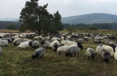 Modern Retreat by the Lake - Foto 43