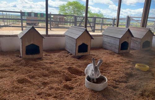 Gravatá Flat no condomínio Monte Castelo MELHOR LOCALIZAÇÃO , Wi-Fi, SKY e AR - Foto 14