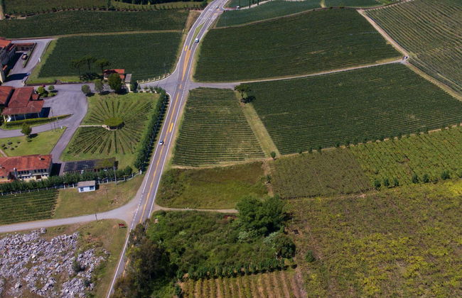 Tour de la inmigración italiana - Foto 1