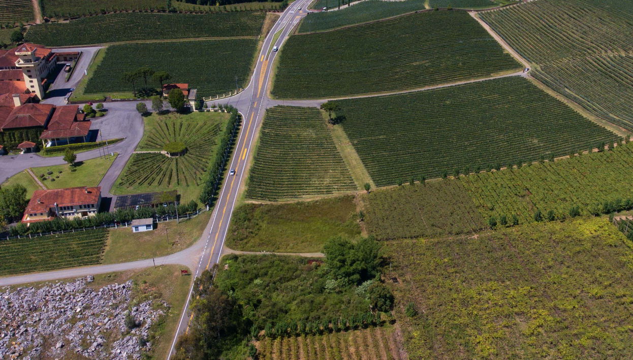 Tour de la inmigración italiana