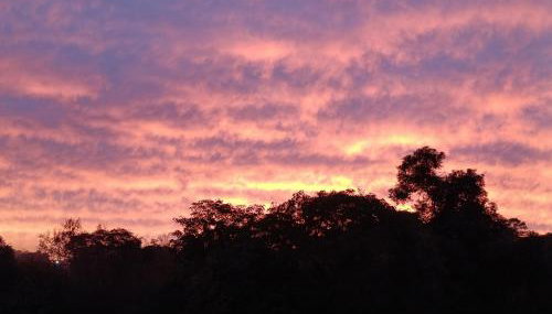 Made in Roça - Photo 2