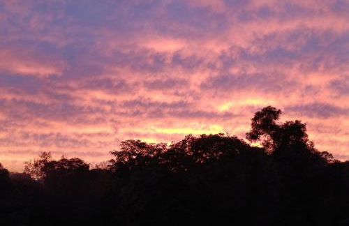 Made in Roça - Photo 2