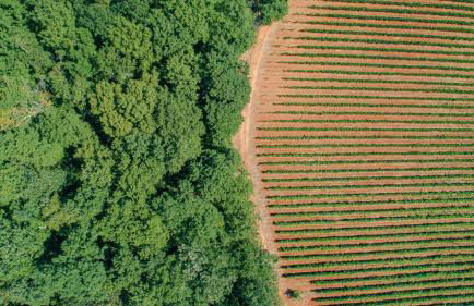 La Cerreta - Terme di Sassetta - Foto 15