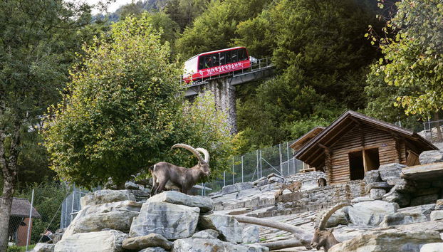 Le funiculaire en route vers le Harder Kulm