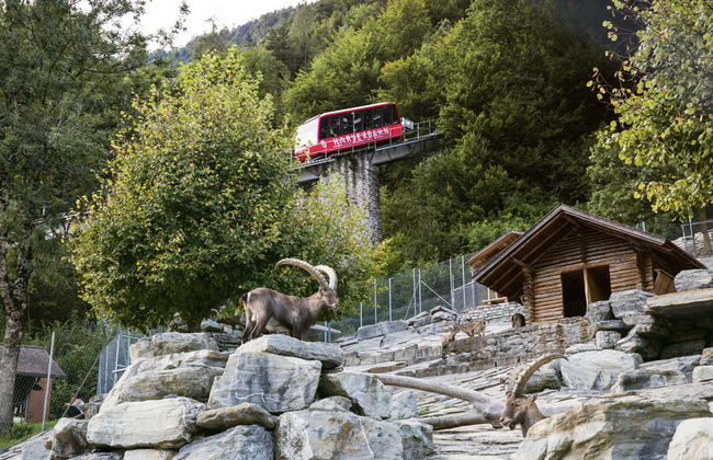 Funiculaire à Harder Kulm - Photo 9