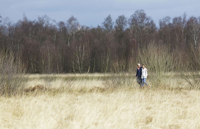 Center Parcs Limburgse Peel - Photo 44