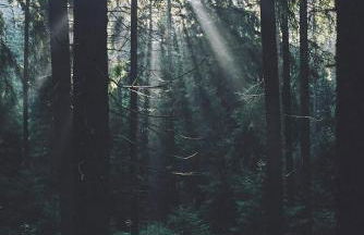 Blickinsfreie - Photo 63