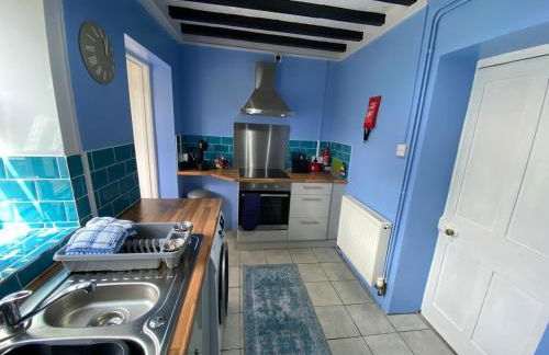 Golygfa'r Orsaf Snowdonia national park, Bala lake - Foto 13