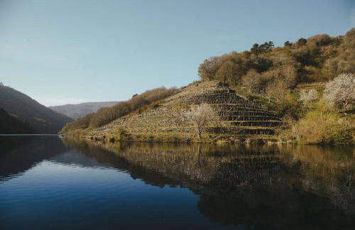 Apedeceo Belesar Villa, Ribeira Sacra, Galicia - Foto 36