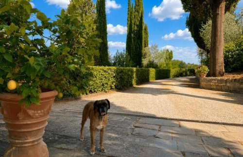 Podere di Montecchio - Le Andane - Foto 55