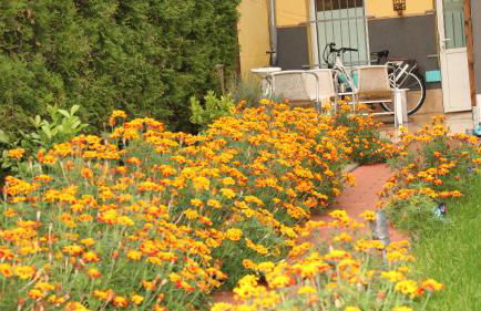 A&S Ferienwohnungen Bonnerstraße 62 - Foto 55