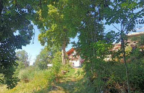 Home Sweet Home - Foto 42