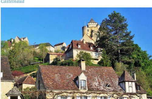 Castelnaud vue - Foto 21