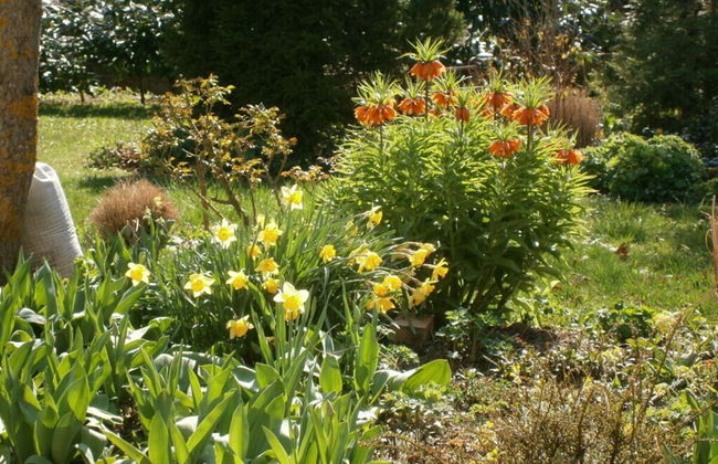 Black Modern Retreat - Foto 26