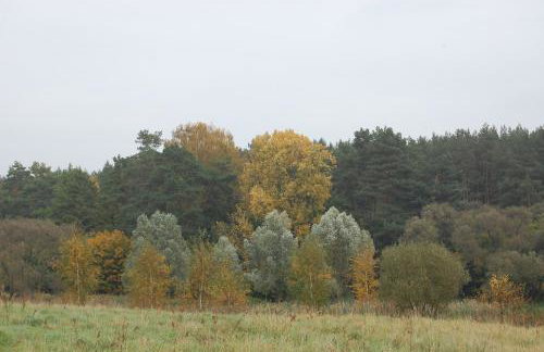 Na Przypiecku - Foto 21