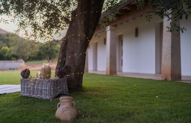 Su Cappeddu Agriturismo - Photo 24