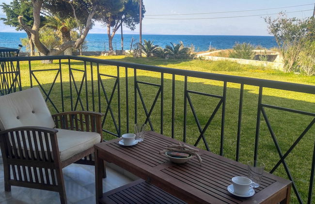 Punda 4 Seasons - Foto 28