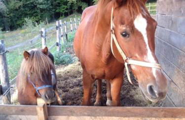 Agriturismo Scannano - Foto 46