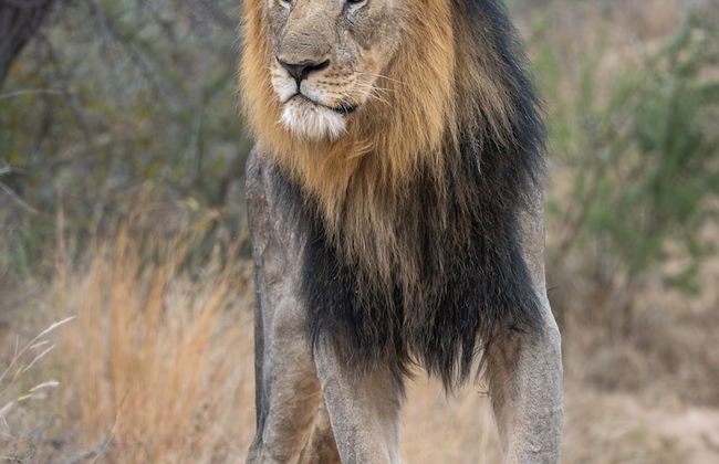 Ukanyi Luxury Villa - Foto 25