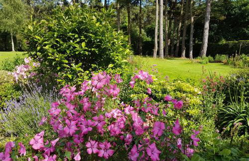 Au gite du bois d'amour - Foto 28