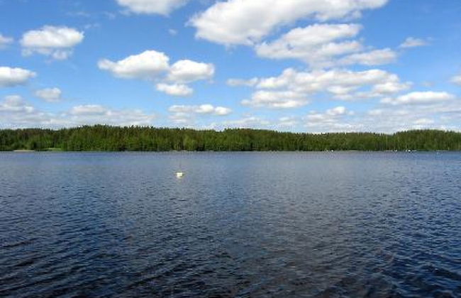 Lomakuikka - Foto 10