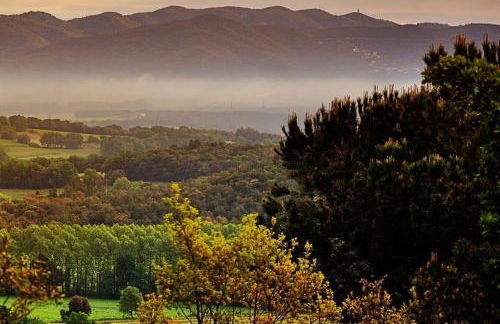 Casa Fritz - Photo 20