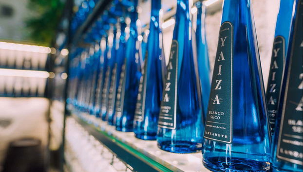 Visita a la bodega Vega de Yuco Testeina - Foto 5