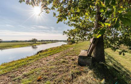Agroturystyka Nad Wartą - Foto 10