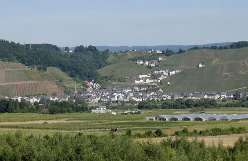 'Ferienhaus Mosel' mit kostenfreien ÖPNV-Ticket - Foto 40