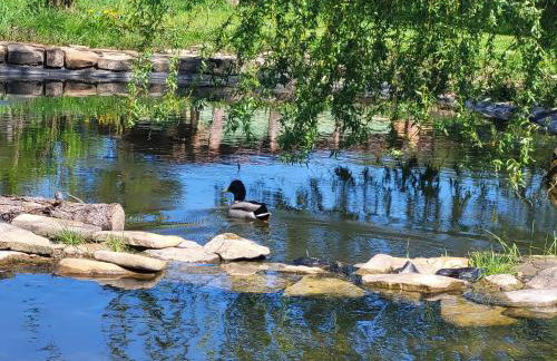 Domek Umilenia - Foto 12