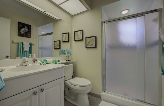 White Pine Court - Foto 18