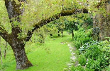 Charming House Terrace Amarante - Foto 49