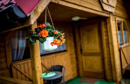 Villa Zastań - Photo 16