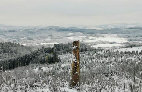 Auszeit, Erholung mitten in der Natur - Ferienhaus im Sauerland in Faulebutter - Foto 21