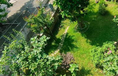 La Magnolia - Photo 36