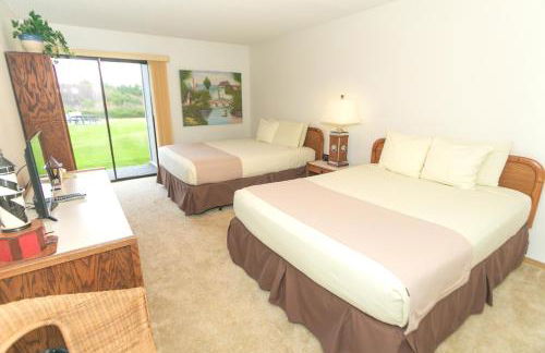 The Grey Gull - Foto 146