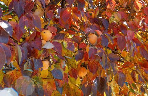 Casa Martina - Photo 25