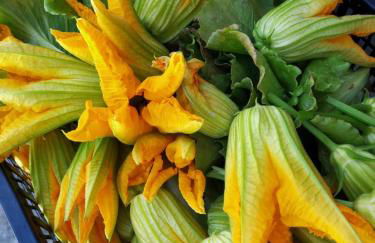 Agriturismo Ponterosa - Foto 82