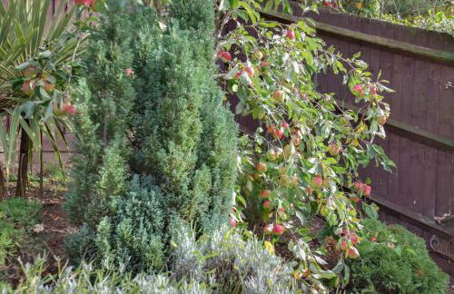 Elizabeth Townhouse Braintree - Foto 39