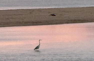 La Vela Estartit Rental - Foto 41