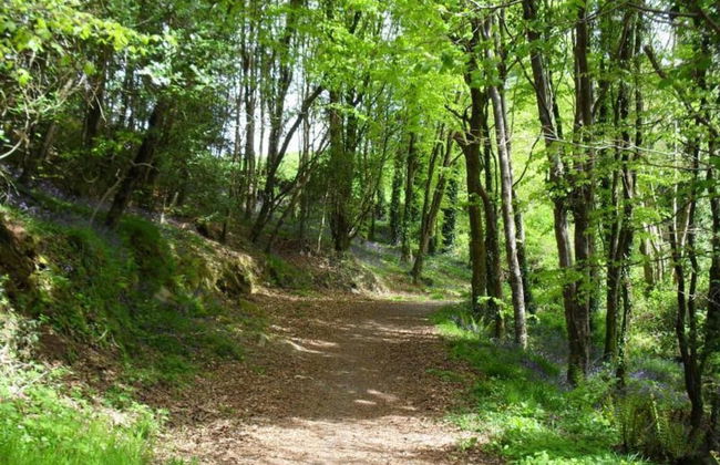 Lovely Sea View Apartment in Rineen - 4 Guests - Foto 14